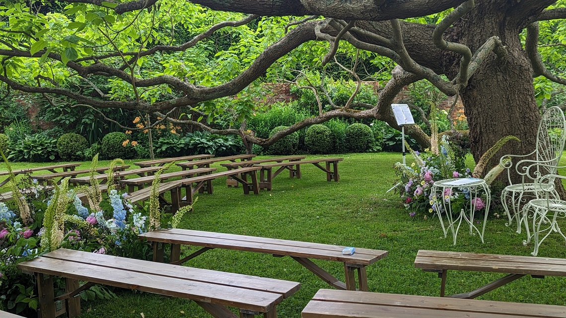 catalpa tree wedding