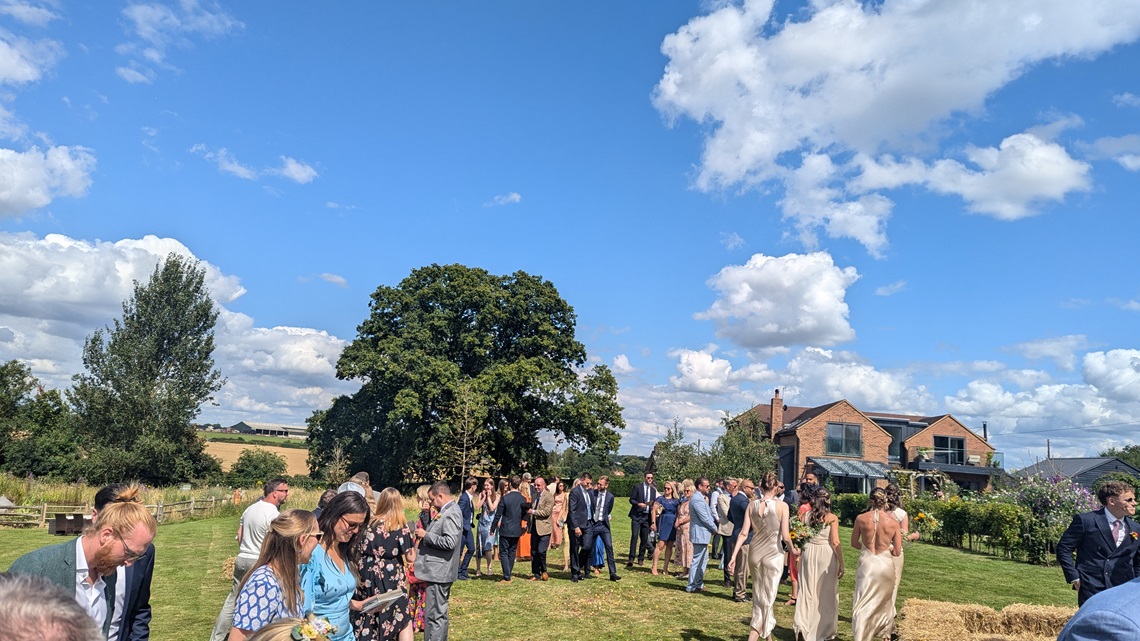 wedding guests