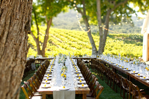 vineyard wedding reception