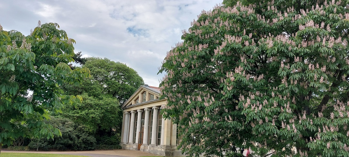 wedding day at kew