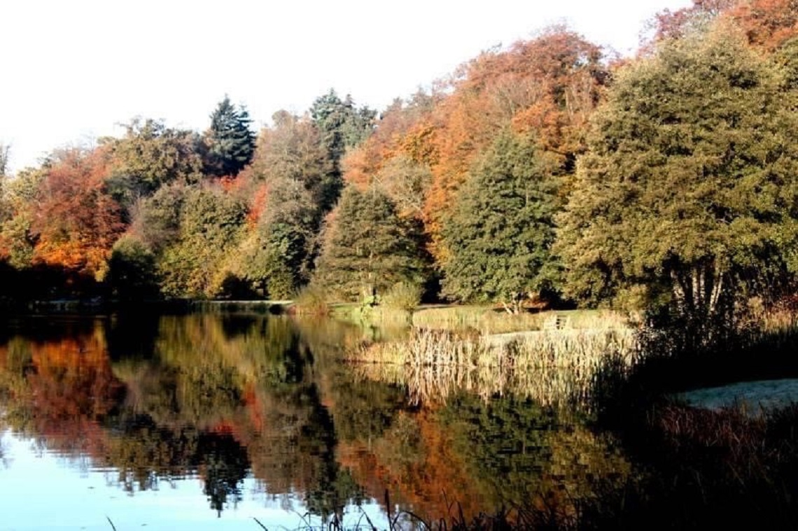 lake in autumn albury fisheries weddings