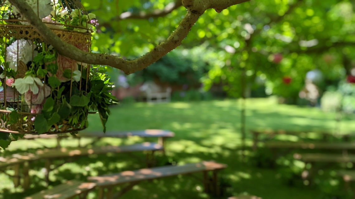 catalpa tree wedding