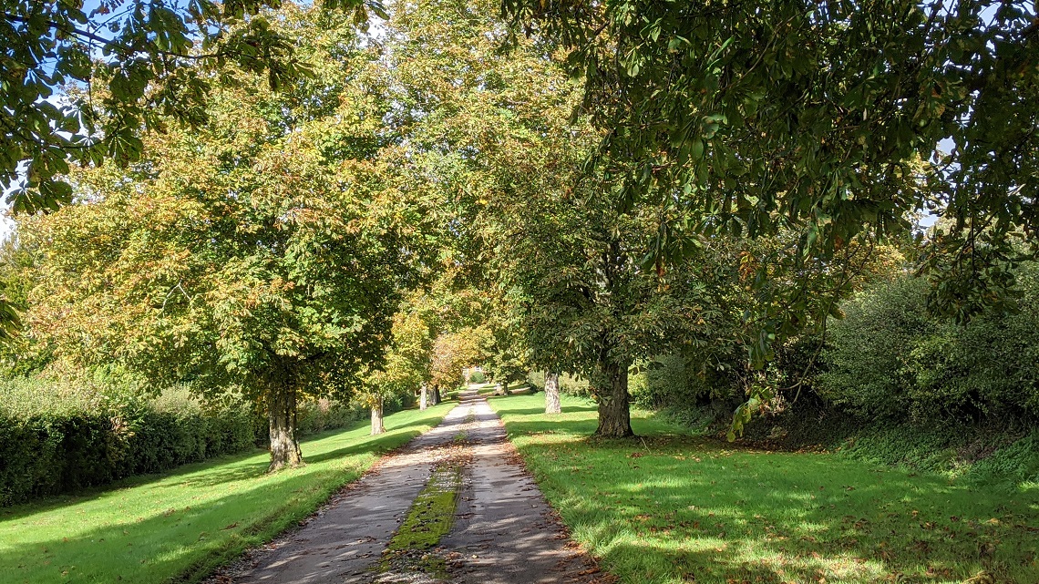 bonhams barn driveway