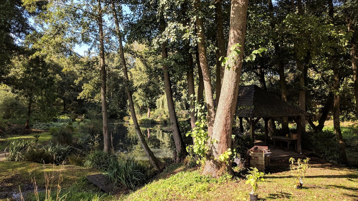 woodland wedding by lake surrey