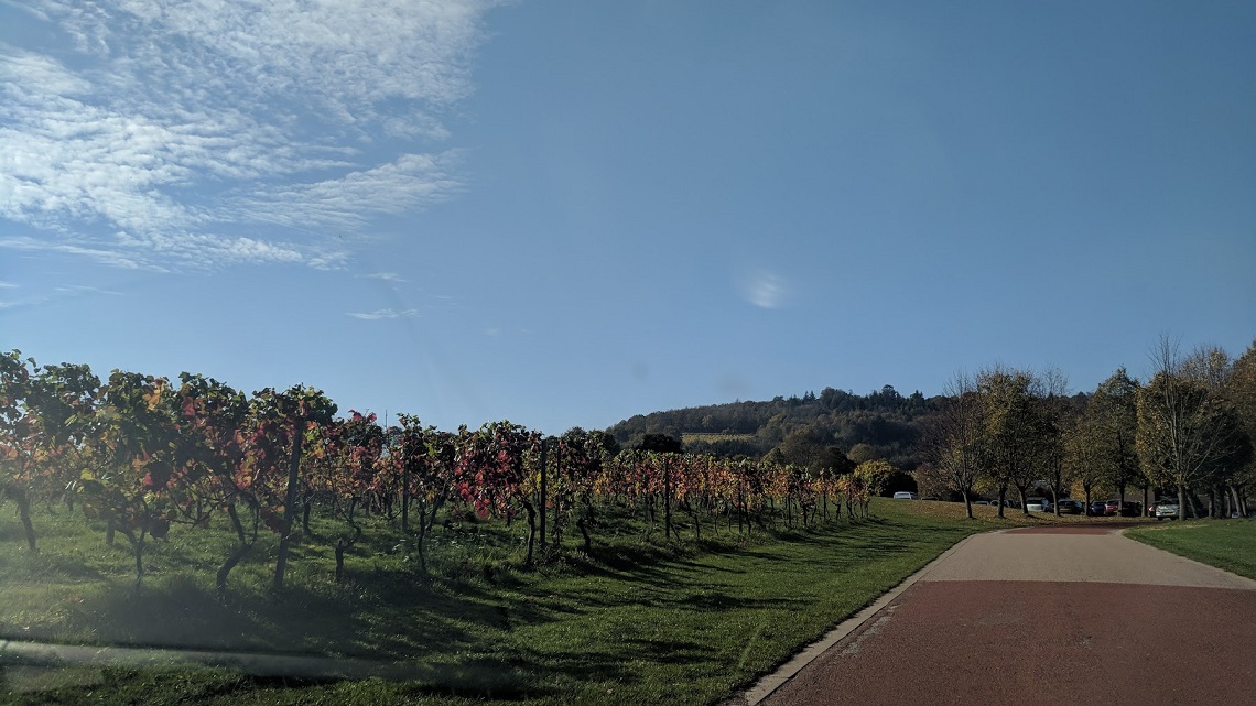 vineyard wedding surrey